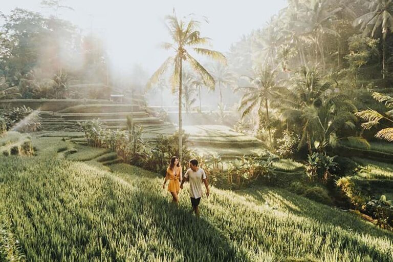 Amazing Kintamani Ubud Tour with Overlook Volcano View - What We Appreciated Most