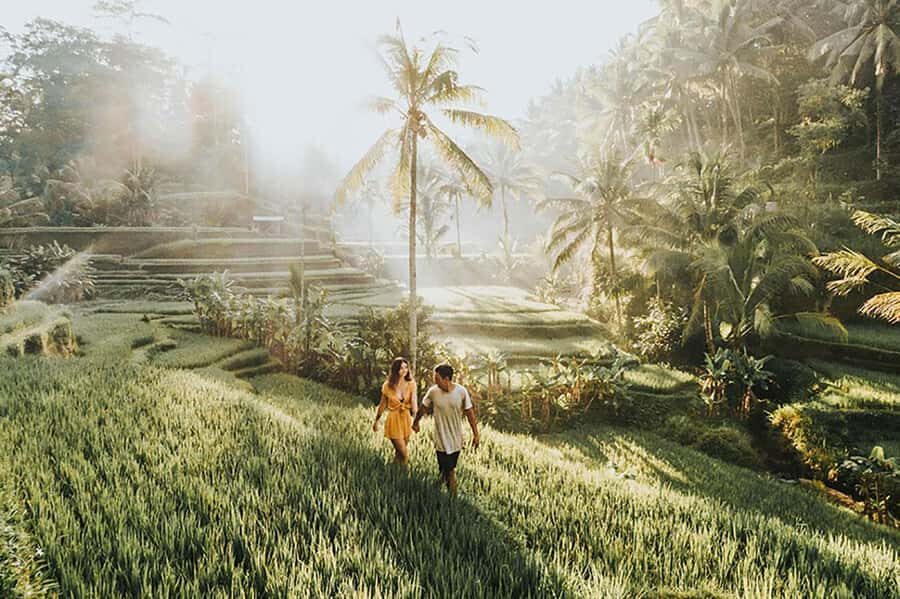 Amazing Kintamani Ubud Tour with Overlook Volcano View - What We Appreciated Most