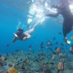 Amazing Nusa Penida Snorkeling Experience - The Value of This Tour: Is It Worth It?