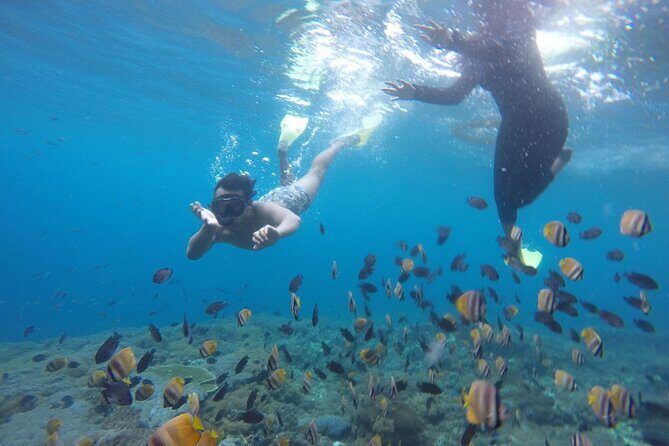 Amazing Nusa Penida Snorkeling Experience - The Value of This Tour: Is It Worth It?