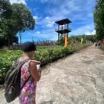 Amazing South Island Phu Quoc full day tour - Why This Tour Offers Good Value