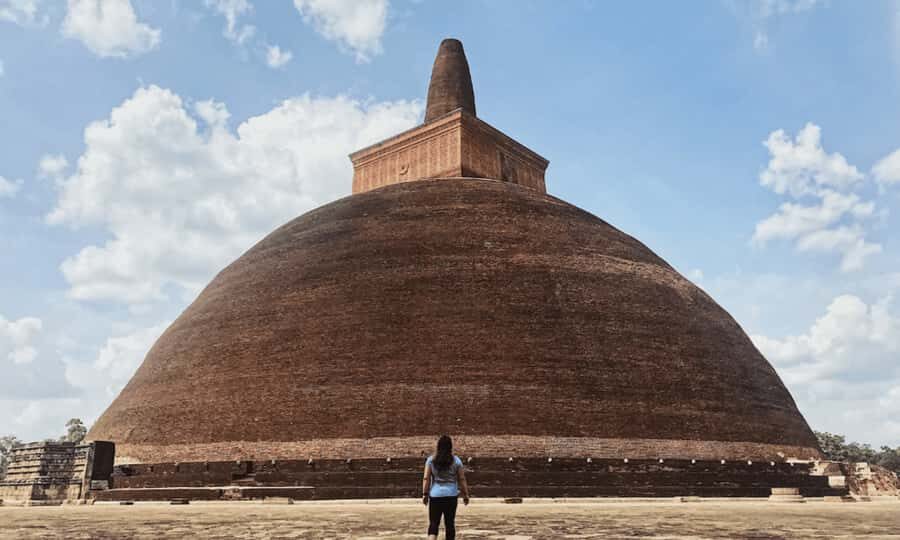 Amazing Sri Lanka: 10 Days Private Tour for Senior Citizens - Detailed Breakdown of the Itinerary