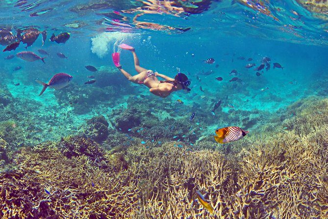 Amedee Lighthouse - Authenticity and Cultural Experience