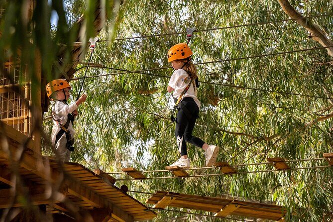 An exciting, Tree Top Adventure for Our Littlest Adventurers - The Review from Parents and Kids