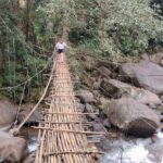 Anakulam Wild elephant Visiting & Tribal village 4*4 Ride - The Verdict: Who Will Love This Tour?