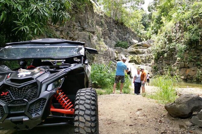 Añasco-Bunny Fever Adventure Experience - The Experience: What It Feels Like