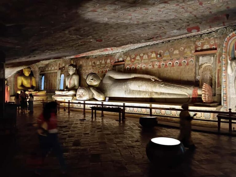 Ancient Kingdoms to East Coast Sands A Sri Lanka Journey - Transport and Guides: How the Experience Comes Together