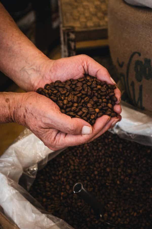 Ancient Penglipuran Village and Bamboo Forest Trekking - Who Would Love This Experience?