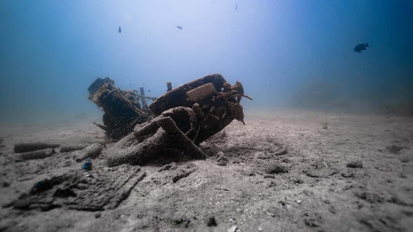 Andaman: Havelock Scuba Diving by PADI 5-Star Dive Center - What to Expect from This Scuba Tour