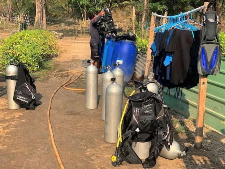 Andaman Islands: Scuba Diving Tour - Who Is This Tour Best For?