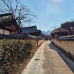 Andong UNESCO Heritage Tour - Final Thoughts