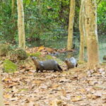 Angkor Bike tour & Gondola Sunset Boat - What’s Included and What to Consider