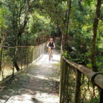 Angkor Jungle Biking Adventure Private Cycling Tour - Practical Details & Why It’s a Smart Choice