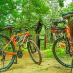 Angkor Wat Cycling Tour (20-25 km) - Who Will Love This Tour?