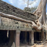 Angkor Wat Sunrise Tour in Siem Reap Small-Group - The Experience: A Full Breakdown