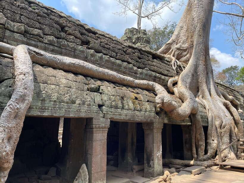 Angkor Wat Sunrise Tour in Siem Reap Small-Group - The Experience: A Full Breakdown