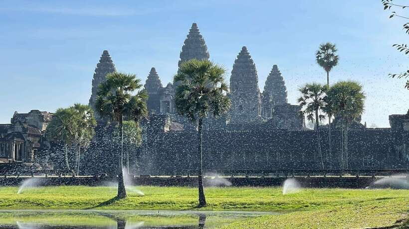 Angkor Wat Temples & Kulen Elephant Forest Day Tour - What We Think About the Value