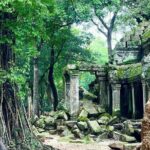 Angkor Wat Temples Private Day Tour from Siem Reap - What Makes This Tour Stand Out?