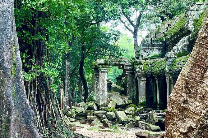 Angkor Wat Temples Private Day Tour from Siem Reap - What Makes This Tour Stand Out?