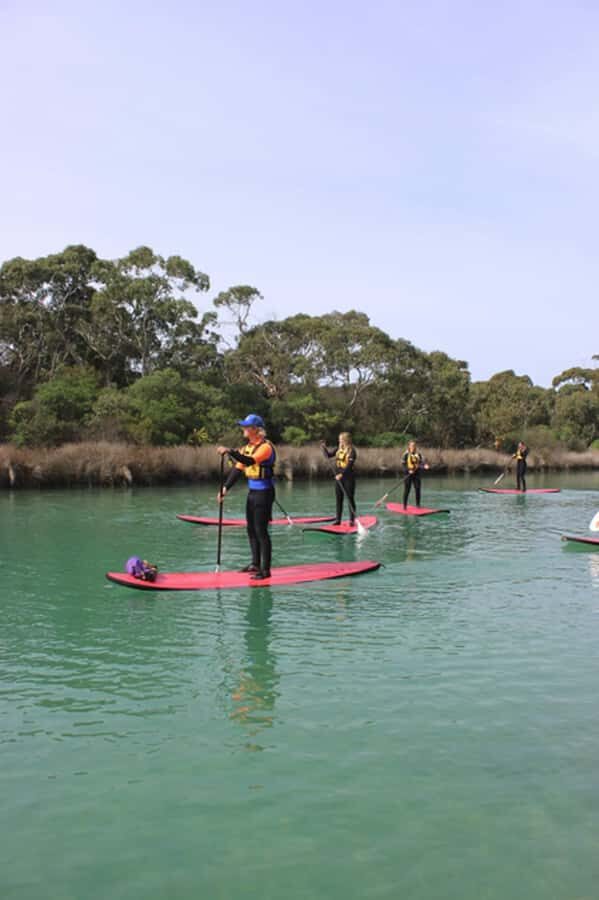 Anglesea: Stand-Up Paddleboard Lesson on the River - What Makes This SUP Experience a Worthwhile Choice?