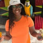 Animal & Bird Farm with Private Transport - Why This Tour Works Well