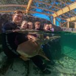 Anna Bay: Irukandji Entry Pass with Zebra Shark Encounter - Good To Know