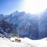 Annapurna Base Camp: 5-Day Guided Trek with Hot Spring - Practical Details and What to Expect
