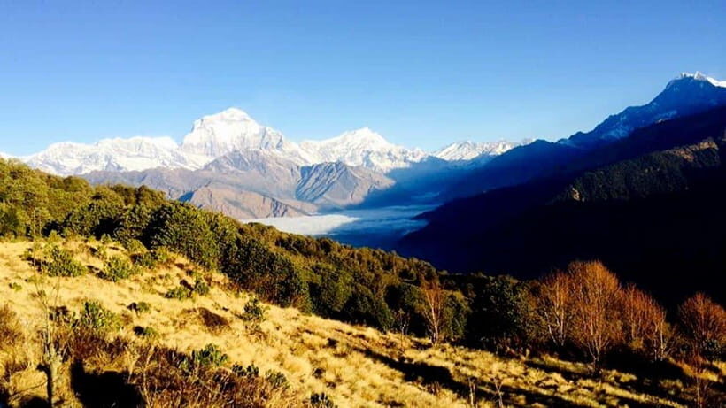 Annapurna Trek with Throng-la Pass - Day-by-Day Breakdown of the Trek