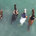 Antigua Horse Ride and Swim - Who Should Book This Tour?