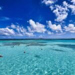 Antigua: Stingray City Experience with Round-Trip Transfer - A Step-by-Step Look at the Itinerary