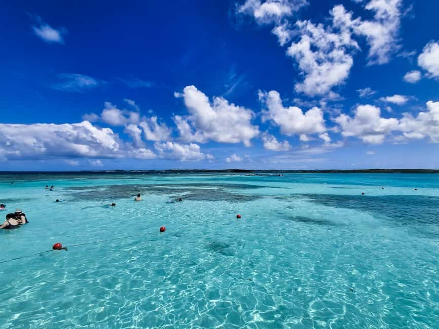 Antigua: Stingray City Experience with Round-Trip Transfer - A Step-by-Step Look at the Itinerary