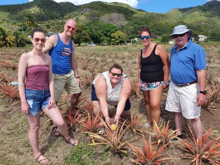 Antiguan experience home tour with local guide with lunch - The Practical Details