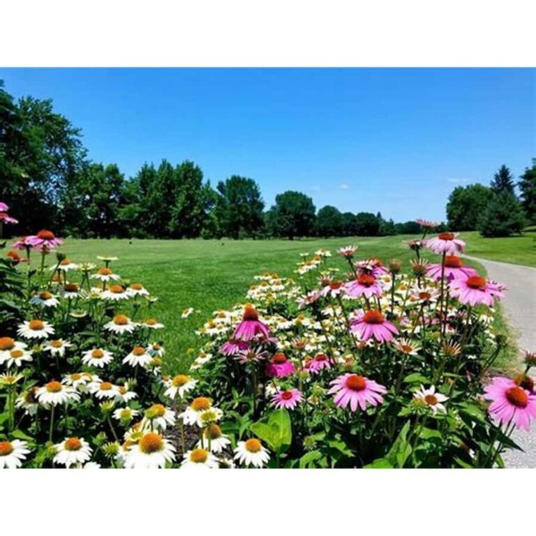 Antique Banga & Balete Tour - Exploring the Tour: What You Can Expect