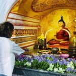 Anuradhapura Ancient City Private Day Tour - Who Will Love This Tour?