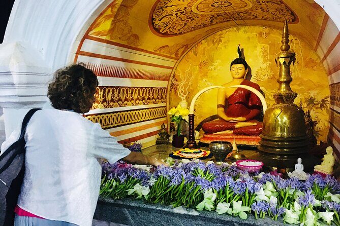 Anuradhapura Ancient City Private Day Tour - Who Will Love This Tour?