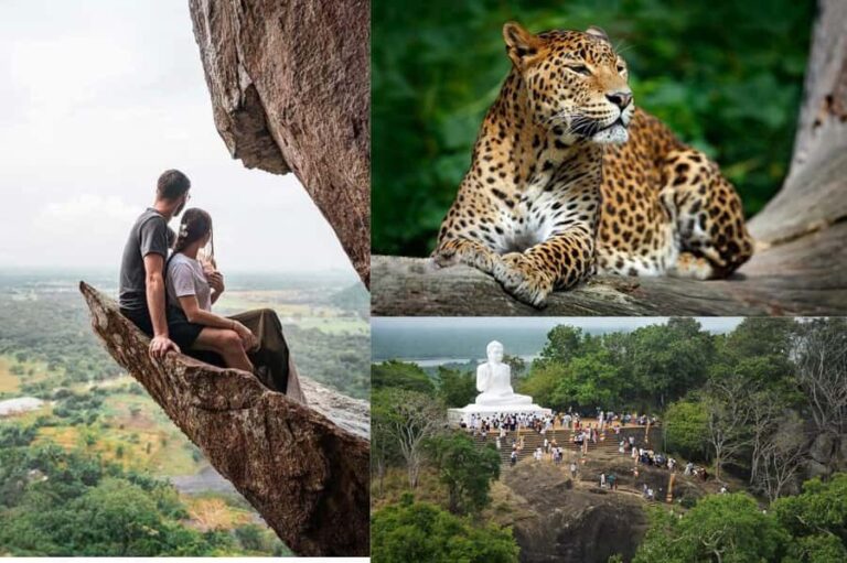 Anuradhapura: Wilpattu Safari, Kalu Diya Pokuna & Mihintale - Authentic Insights from Reviews
