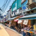 Anywhere you like! Tokyo Customized Tour in 3 hours - Who Is This Tour Best For?