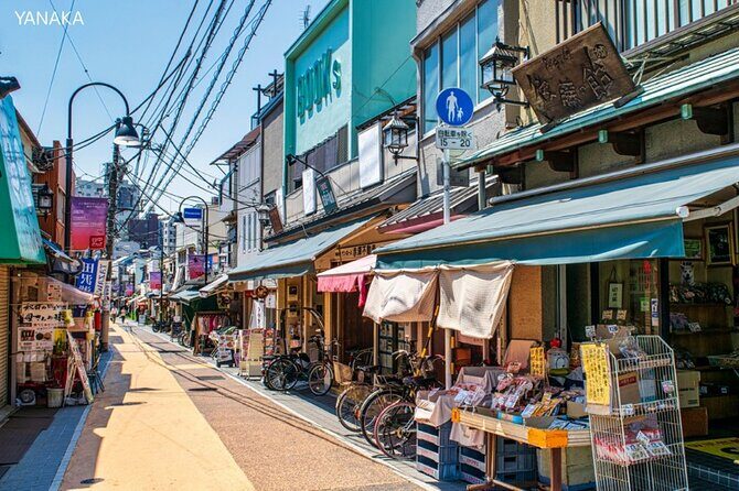 Anywhere you like! Tokyo Customized Tour in 3 hours - Who Is This Tour Best For?