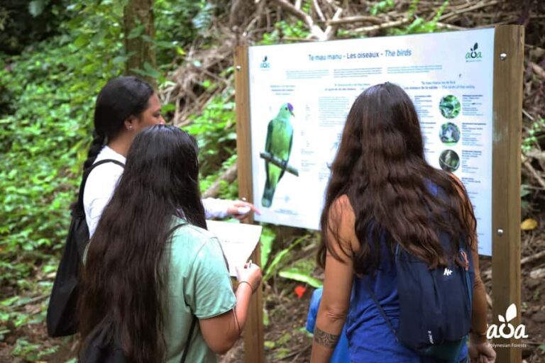 AOA Polynesian Forests - Educational Forest and Scavenger Hunt, Tahiti, West Coast - Transportation & Group Size