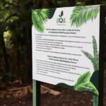 AOA Polynesian Forests - Educational Forest and Tahitian Trail Game DE - Authentic Insights from Past Visitors