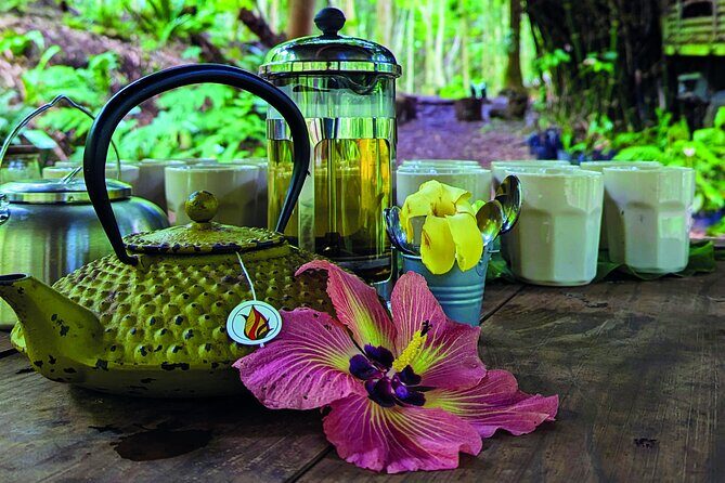 AOA Polynesian Forests - Hiking Sanctuary Biodiversity Tahiti - The Sum Up