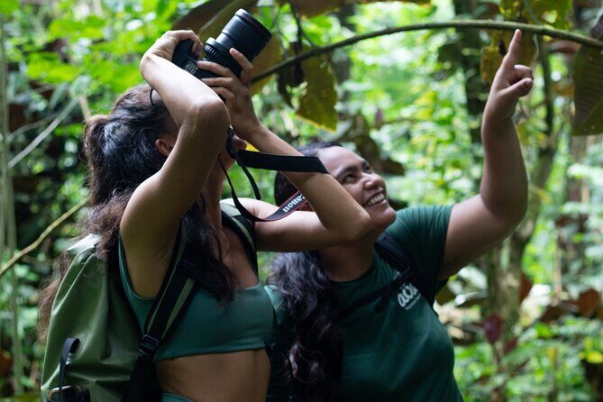 AOA Polynesian Forests - Tahiti Nature Immersion Day - Detailed Breakdown of the Itinerary