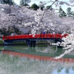 Aomori: Hirosaki Private Shore Excursion for cruise guest - Conclusions: Who’s This Tour Best For?