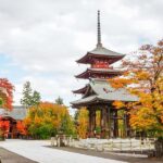Aomori: Hirosaki Private Shore Excursion for cruise guest - What to Expect & Practical Details