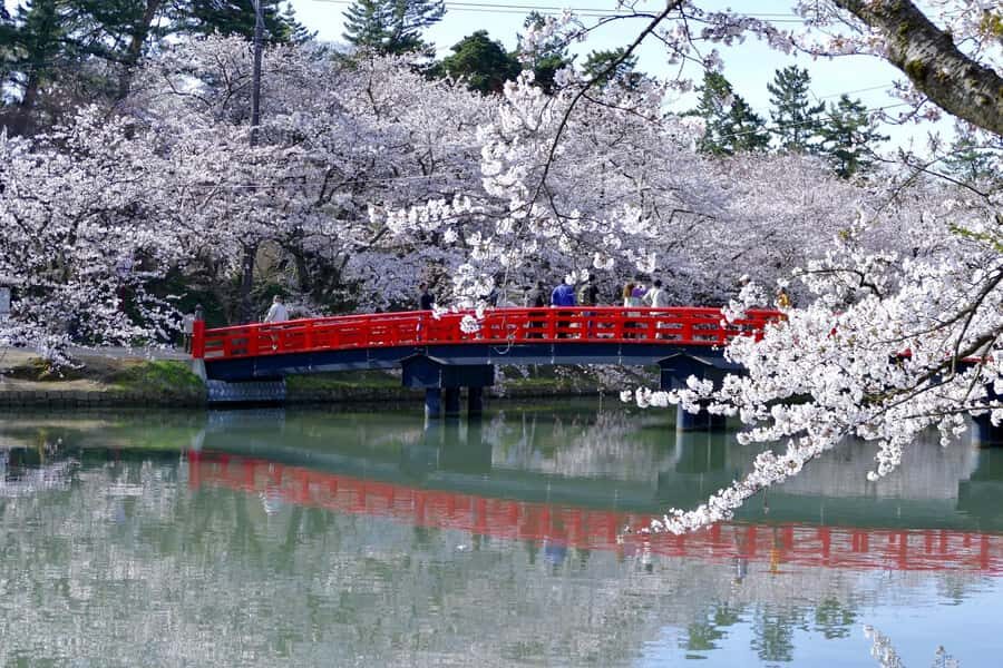 Aomori: Hirosaki Private Shore Excursion for cruise guest - Conclusions: Who’s This Tour Best For?