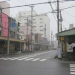 Aomori: Local Market Tour & DIY Seafood Bowl (Nokke-don) - Practical Details and Value