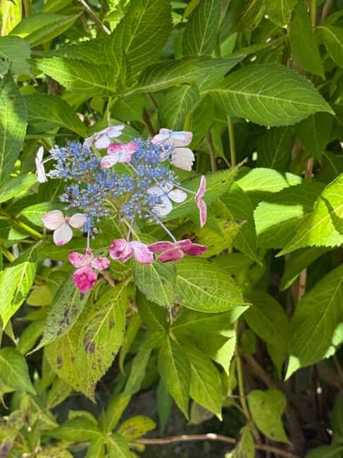 Aomori: Takayama Inari Shrine and Jomon Museum Tour - Practical Details and What to Expect