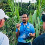 Aonang Cultural Exploration on Temple, Market and Thai Visit - The Itinerary Breakdown