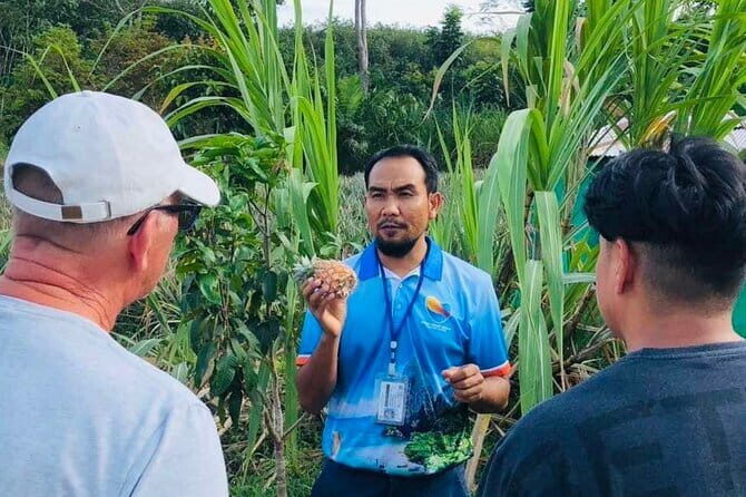 Aonang Cultural Exploration on Temple, Market and Thai Visit - Vibrant Market Life: The Heart of Thai Commerce