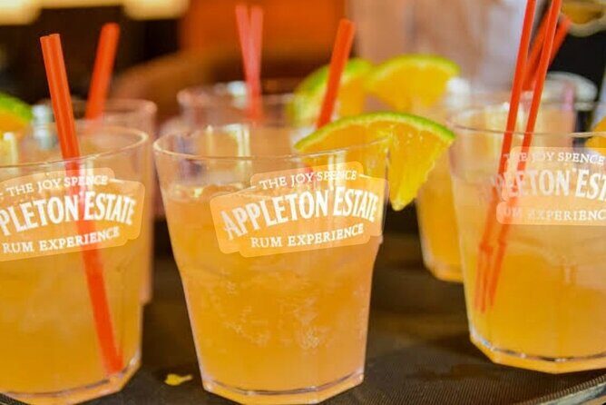 Appleton Estate, YS Falls and Pelican Bar Day Trip from Kingston - Frequently Asked Questions (FAQs)